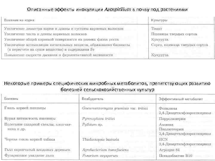 Описанные эффекты инокуляции Azospirillum в почву под растениями Некоторые примеры специфических микробных метаболитов, препятствующих