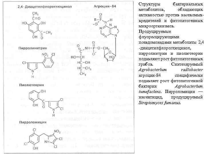 Структуры бактериальных метаболитов, обладающих активностью против насекомых вредителей и фитопатогенных микроорганизмов. Продуцируемые флуоресцирующими псевдомонадами