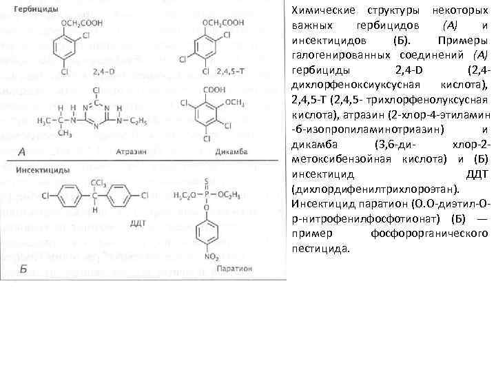 Химические структуры некоторых важных гербицидов (А) и инсектицидов (Б). Примеры галогенированных соединений (А) гербициды
