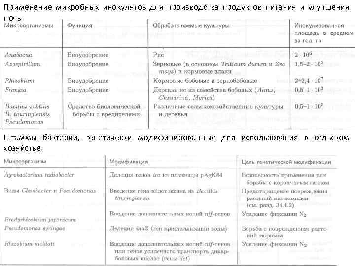 Применение микробных инокулятов для производства продуктов питания и улучшения почв Штаммы бактерий, генетически модифицированные