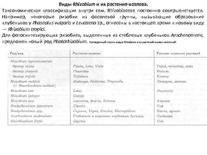 Виды Rhizobium и их растения-хозяева. Таксономическая классификация внутри сем. Rhizobiaceae постоянно совершенствуется. Например, некоторые