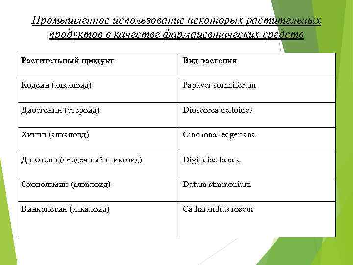 Промышленное использование некоторых растительных продуктов в качестве фармацевтических средств Растительный продукт Вид растения Кодеин