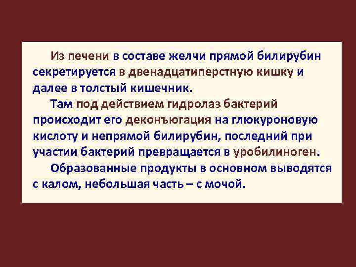 Из печени в составе желчи прямой билирубин секретируется в двенадцатиперстную кишку и далее в