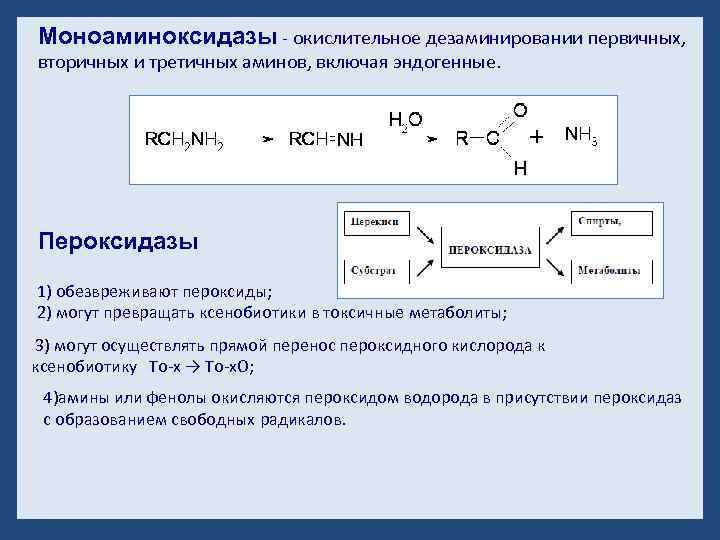 Моноаминоксидазы - окислительное дезаминировании первичных, вторичных и третичных аминов, включая эндогенные. Пероксидазы 1) обезвреживают