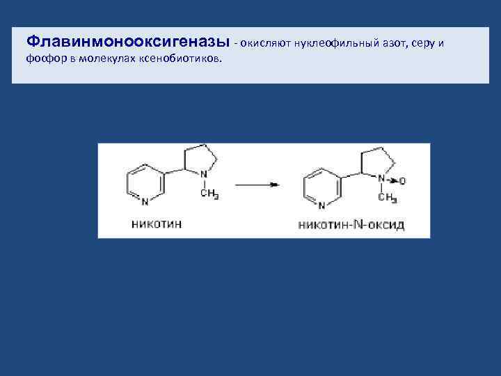 Флавинмонооксигеназы - окисляют нуклеофильный азот, серу и фосфор в молекулах ксенобиотиков. 