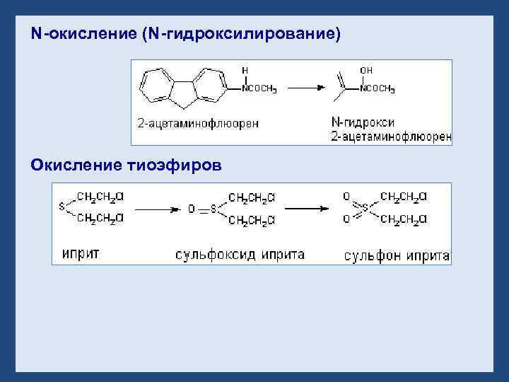 N-окисление (N-гидроксилирование) Окисление тиоэфиров 