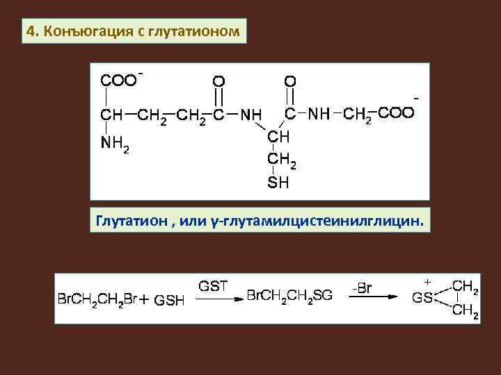 4. Конъюгация с глутатионом Глутатион , или γ-глутамилцистеинилглицин. 