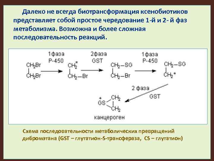 Далеко не всегда биотрансформация ксенобиотиков представляет собой простое чередование 1 -й и 2 -