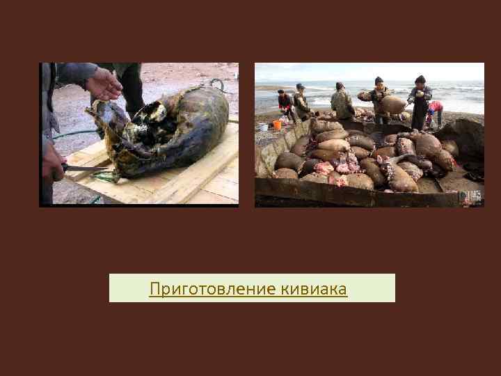 Приготовление кивиака 