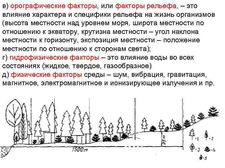 в) орографические факторы, или факторы рельефа, – это влияние характера и специфики рельефа на