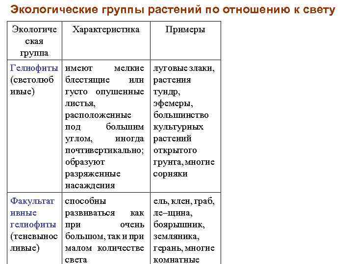 Экологические группы растений по отношению к свету Экологиче ская группа Характеристика Примеры Гелиофиты имеют