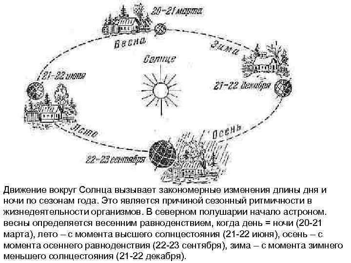 Движение вокруг Солнца вызывает закономерные изменения длины дня и ночи по сезонам года. Это