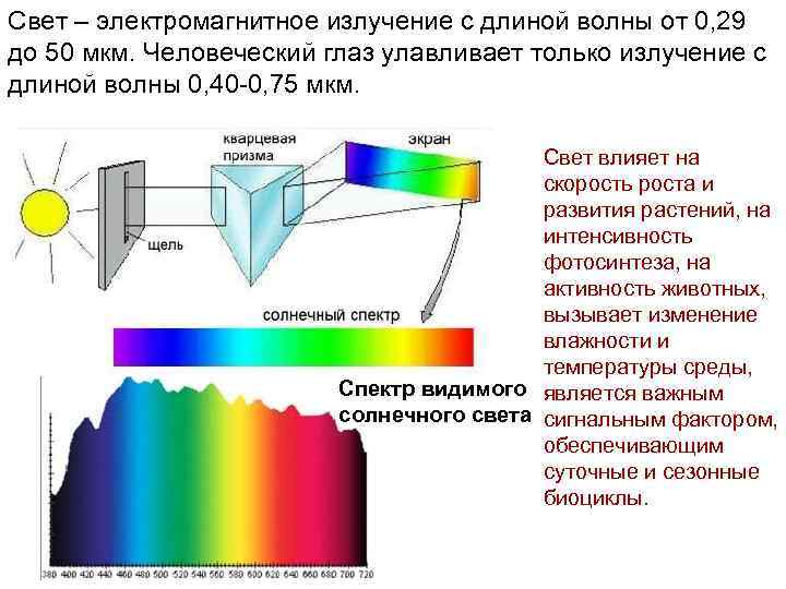 Свет как электромагнитная волна проект