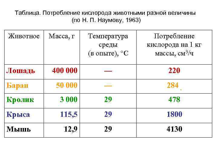 Таблица. Потребление кислорода животными разной величины (по Н. П. Наумову, 1963) Животное Температура среды
