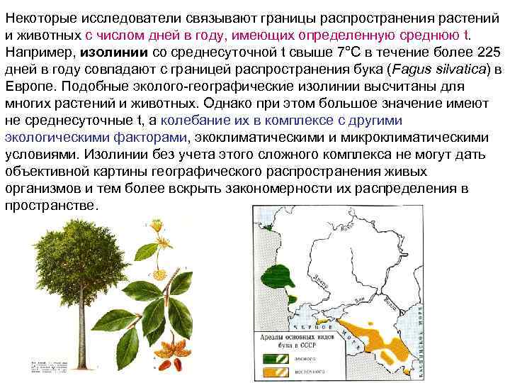 Некоторые исследователи связывают границы распространения растений и животных с числом дней в году, имеющих