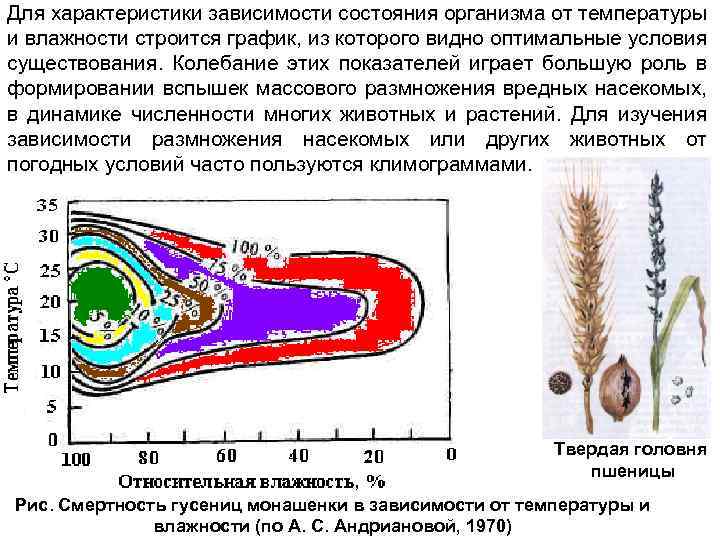 Для характеристики зависимости состояния организма от температуры и влажности строится график, из которого видно