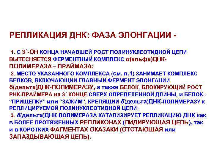 РЕПЛИКАЦИЯ ДНК: ФАЗА ЭЛОНГАЦИИ 1. С 3΄-ОН КОНЦА НАЧАВШЕЙ РОСТ ПОЛИНУКЛЕОТИДНОЙ ЦЕПИ ВЫТЕСНЯЕТСЯ ФЕРМЕНТНЫЙ