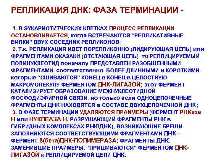 РЕПЛИКАЦИЯ ДНК: ФАЗА ТЕРМИНАЦИИ 1. В ЭУКАРИОТИТЧЕСКИХ КЛЕТКАХ ПРОЦЕСС РЕПЛИКАЦИИ ОСТАНОВЛИВАЕТСЯ, когда ВСТРЕЧАЮТСЯ “РЕПЛИКАТИВНЫЕ