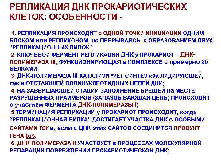 РЕПЛИКАЦИЯ ДНК ПРОКАРИОТИЧЕСКИХ КЛЕТОК: ОСОБЕННОСТИ 1. РЕПЛИКАЦИЯ ПРОИСХОДИТ с ОДНОЙ ТОЧКИ ИНИЦИАЦИИ ОДНИМ БЛОКОМ