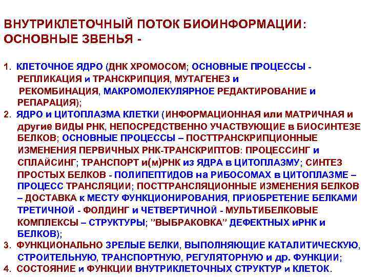 ВНУТРИКЛЕТОЧНЫЙ ПОТОК БИОИНФОРМАЦИИ: ОСНОВНЫЕ ЗВЕНЬЯ 1. КЛЕТОЧНОЕ ЯДРО (ДНК ХРОМОСОМ; ОСНОВНЫЕ ПРОЦЕССЫ РЕПЛИКАЦИЯ и