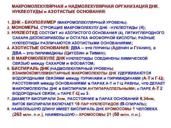 МАКРОМОЛЕКУЛЯРНАЯ и НАДМОЛЕКУЛЯРНАЯ ОРГАНИЗАЦИЯ ДНК. НУКЛЕОТИДЫ и АЗОТИСТЫЕ ОСНОВАНИЯ: 1. ДНК – БИОПОЛИМЕР (МАКРОМОЛЕКУЛЯРНЫЙ