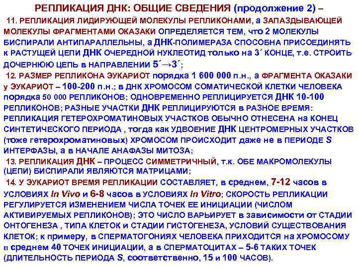 РЕПЛИКАЦИЯ ДНК: ОБЩИЕ СВЕДЕНИЯ (продолжение 2) – 11. РЕПЛИКАЦИЯ ЛИДИРУЮЩЕЙ МОЛЕКУЛЫ РЕПЛИКОНАМИ, а ЗАПАЗДЫВАЮЩЕЙ