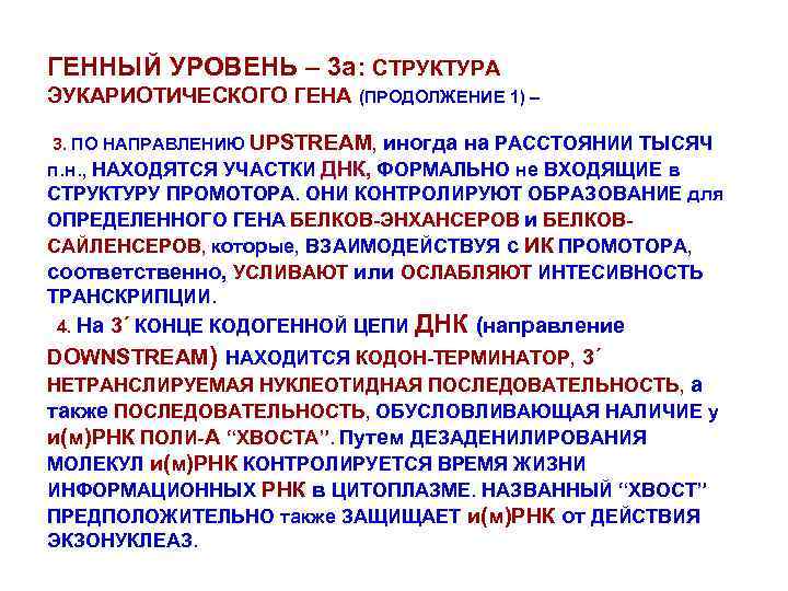 ГЕННЫЙ УРОВЕНЬ – 3 а: СТРУКТУРА ЭУКАРИОТИЧЕСКОГО ГЕНА (ПРОДОЛЖЕНИЕ 1) – 3. ПО НАПРАВЛЕНИЮ