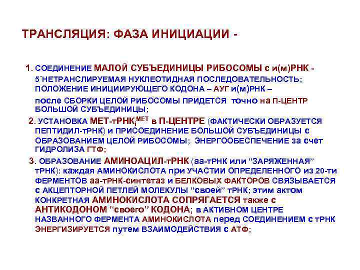 ТРАНСЛЯЦИЯ: ФАЗА ИНИЦИАЦИИ 1. СОЕДИНЕНИЕ МАЛОЙ СУБЪЕДИНИЦЫ РИБОСОМЫ с и(м)РНК 5΄НЕТРАНСЛИРУЕМАЯ НУКЛЕОТИДНАЯ ПОСЛЕДОВАТЕЛЬНОСТЬ; ПОЛОЖЕНИЕ