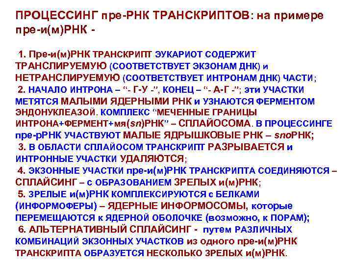 ПРОЦЕССИНГ пре-РНК ТРАНСКРИПТОВ: на примере пре-и(м)РНК 1. Пре-и(м)РНК ТРАНСКРИПТ ЭУКАРИОТ СОДЕРЖИТ ТРАНСЛИРУЕМУЮ (СООТВЕТСТВУЕТ ЭКЗОНАМ