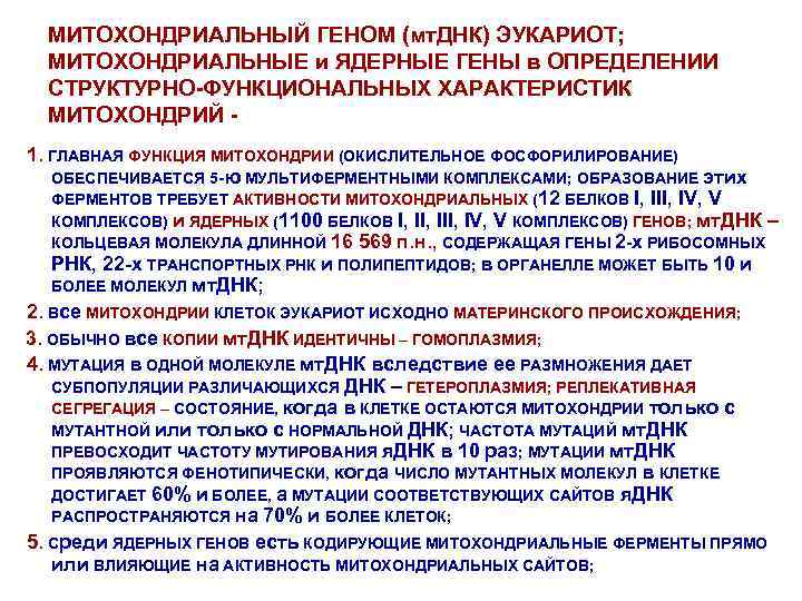 МИТОХОНДРИАЛЬНЫЙ ГЕНОМ (мт. ДНК) ЭУКАРИОТ; МИТОХОНДРИАЛЬНЫЕ и ЯДЕРНЫЕ ГЕНЫ в ОПРЕДЕЛЕНИИ СТРУКТУРНО-ФУНКЦИОНАЛЬНЫХ ХАРАКТЕРИСТИК МИТОХОНДРИЙ