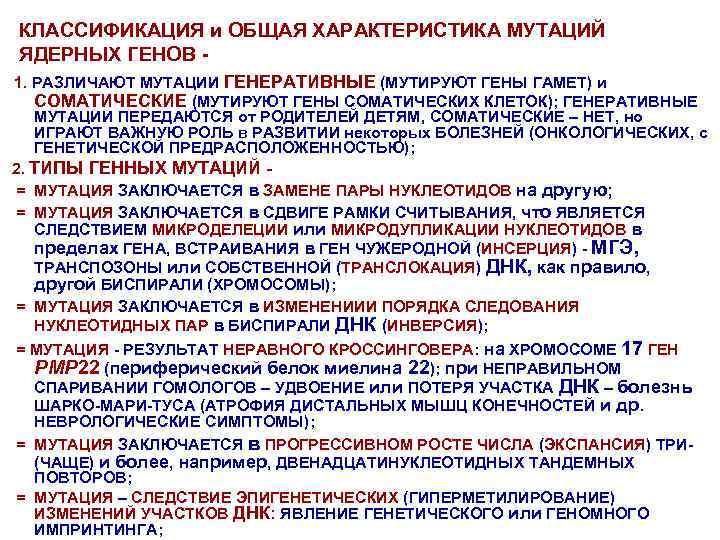 КЛАССИФИКАЦИЯ и ОБЩАЯ ХАРАКТЕРИСТИКА МУТАЦИЙ ЯДЕРНЫХ ГЕНОВ 1. РАЗЛИЧАЮТ МУТАЦИИ ГЕНЕРАТИВНЫЕ (МУТИРУЮТ ГЕНЫ ГАМЕТ)