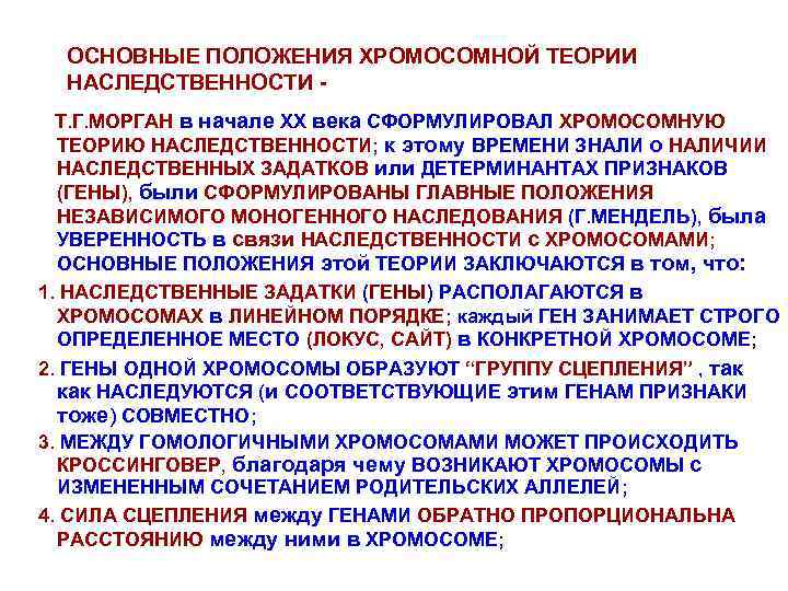 ОСНОВНЫЕ ПОЛОЖЕНИЯ ХРОМОСОМНОЙ ТЕОРИИ НАСЛЕДСТВЕННОСТИ Т. Г. МОРГАН в начале ХХ века СФОРМУЛИРОВАЛ ХРОМОСОМНУЮ