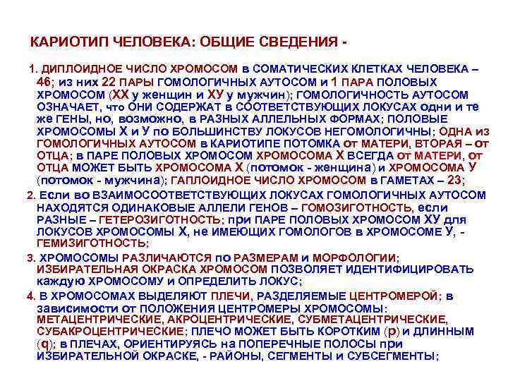 КАРИОТИП ЧЕЛОВЕКА: ОБЩИЕ СВЕДЕНИЯ 1. ДИПЛОИДНОЕ ЧИСЛО ХРОМОСОМ в СОМАТИЧЕСКИХ КЛЕТКАХ ЧЕЛОВЕКА – 46;