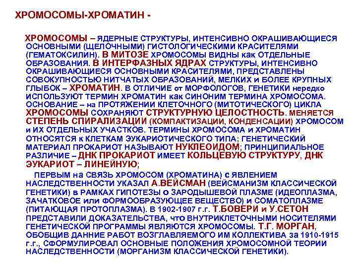 ХРОМОСОМЫ-ХРОМАТИН ХРОМОСОМЫ – ЯДЕРНЫЕ СТРУКТУРЫ, ИНТЕНСИВНО ОКРАШИВАЮЩИЕСЯ ОСНОВНЫМИ (ЩЕЛОЧНЫМИ) ГИСТОЛОГИЧЕСКИМИ КРАСИТЕЛЯМИ (ГЕМАТОКСИЛИН). В МИТОЗЕ