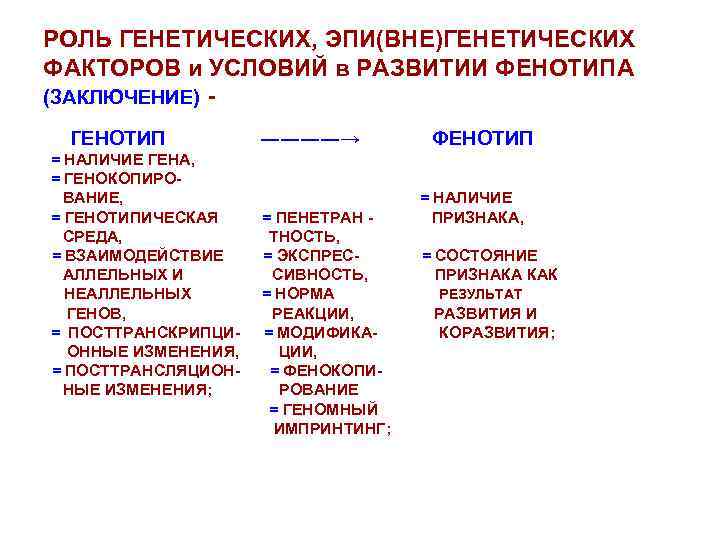 РОЛЬ ГЕНЕТИЧЕСКИХ, ЭПИ(ВНЕ)ГЕНЕТИЧЕСКИХ ФАКТОРОВ и УСЛОВИЙ в РАЗВИТИИ ФЕНОТИПА (ЗАКЛЮЧЕНИЕ) ГЕНОТИП = НАЛИЧИЕ ГЕНА,