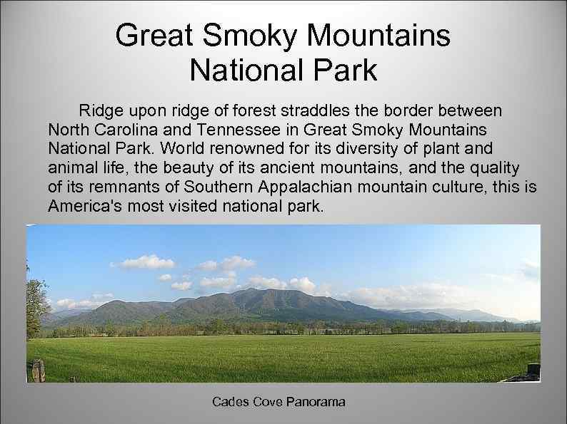 Great Smoky Mountains National Park Ridge upon ridge of forest straddles the border between