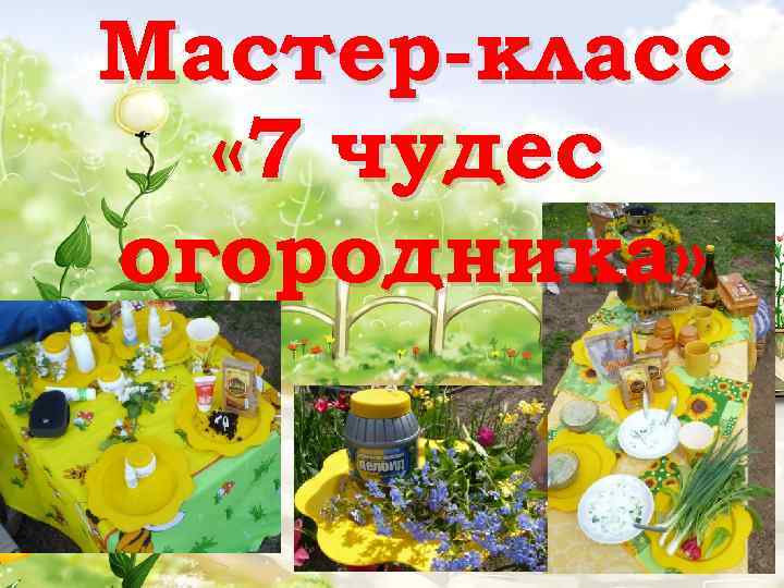 Мастер-класс « 7 чудес огородника» 