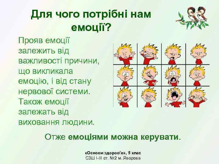 Для чого потрібні нам емоції? Прояв емоції залежить від важливості причини, що викликала емоцію,