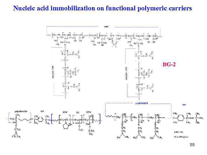 Nucleic acid immobilization on functional polymeric carriers BG-2 55 