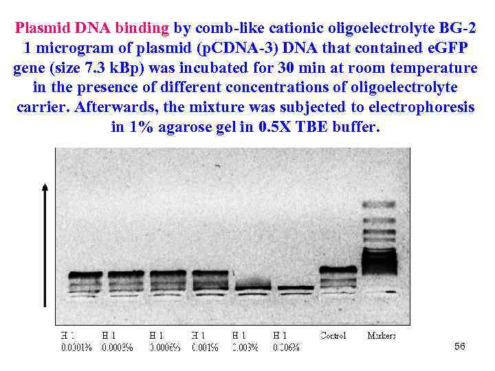 Plasmid DNA binding by comb-like cationic oligoelectrolyte BG-2 1 microgram of plasmid (p. CDNA-3)