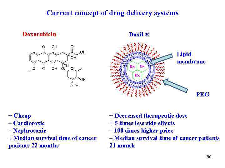 Current concept of drug delivery systems Doxorubicin Doxil ® Lipid membrane PEG + Cheap