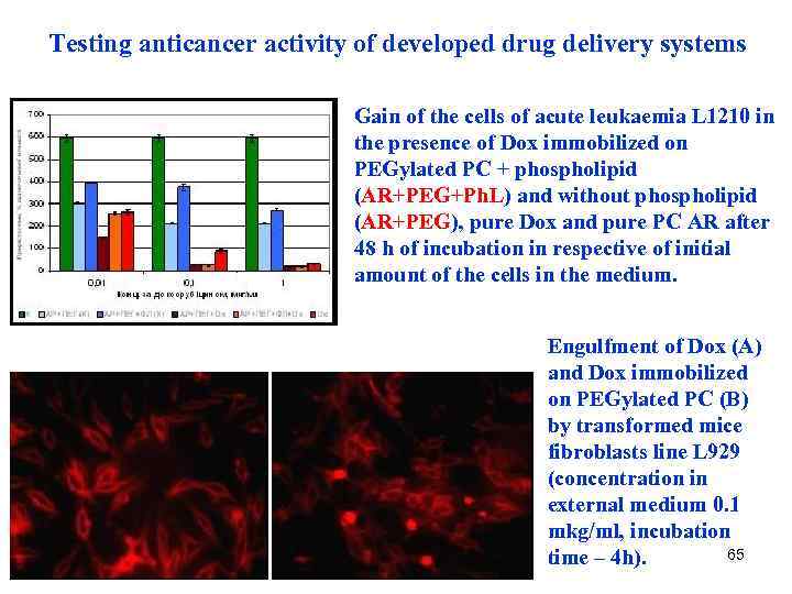 Testing anticancer activity of developed drug delivery systems Gain of the cells of acute