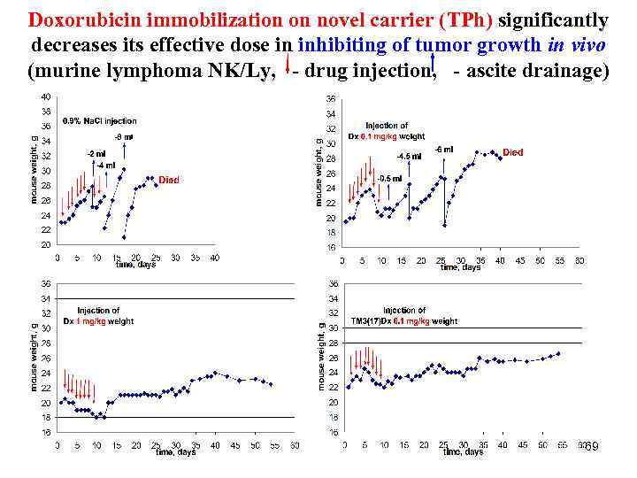 Doxorubicin immobilization on novel carrier (TPh) significantly decreases its effective dose in inhibiting of