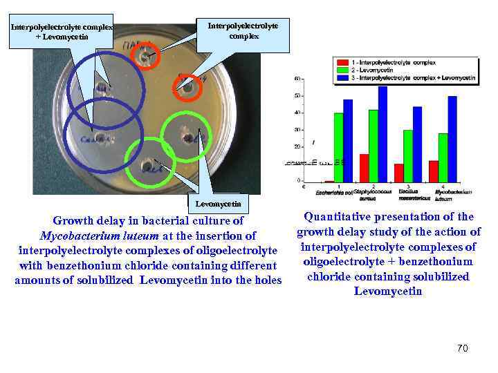 Interpolyelectrolyte complex + Levomycetin Interpolyelectrolyte complex Levomycetin Quantitative presentation of the Growth delay in