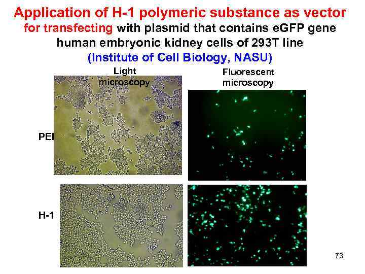 Application of H-1 polymeric substance as vector for transfecting with plasmid that contains e.