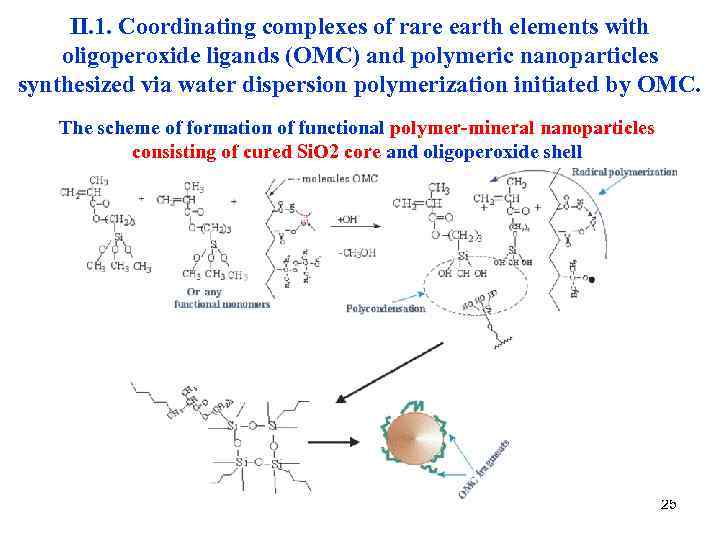 II. 1. Coordinating complexes of rare earth elements with oligoperoxide ligands (OMC) and polymeric