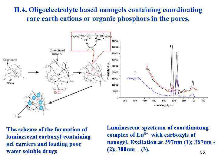 II. 4. Oligoelectrolyte based nanogels containing coordinating rare earth cations or organic phosphors in