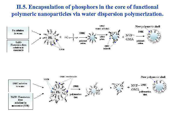 II. 5. Encapsulation of phosphors in the core of functional polymeric nanoparticles via water