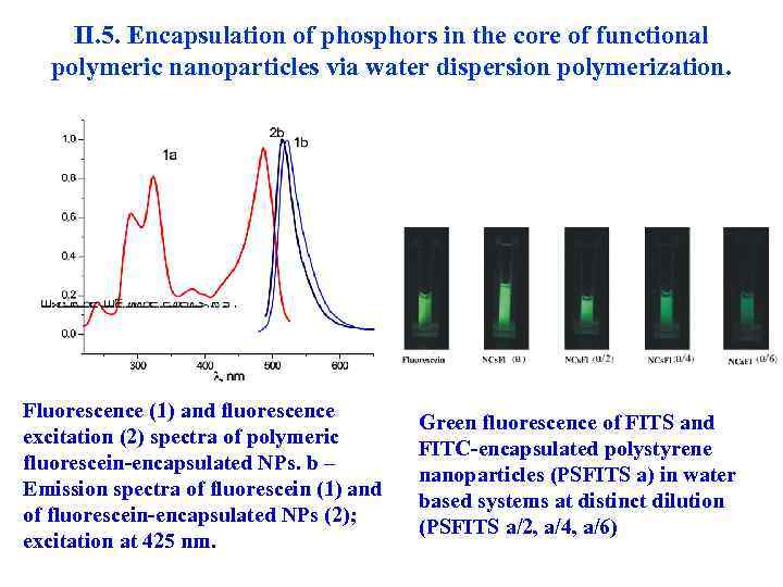 II. 5. Encapsulation of phosphors in the core of functional polymeric nanoparticles via water