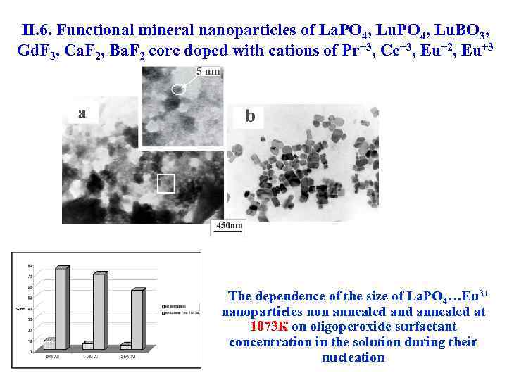 II. 6. Functional mineral nanoparticles of La. PO 4, Lu. BO 3, Gd. F